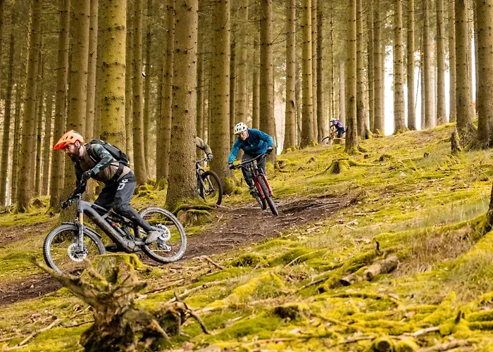 Deluxe For 5 - Sauna & Pool - Free Parking Апартаменты *